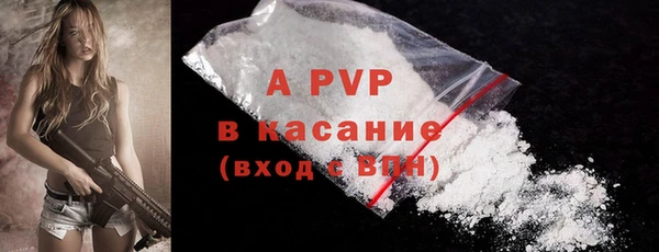дживик Гусь-Хрустальный