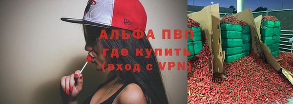 дживик Гусь-Хрустальный