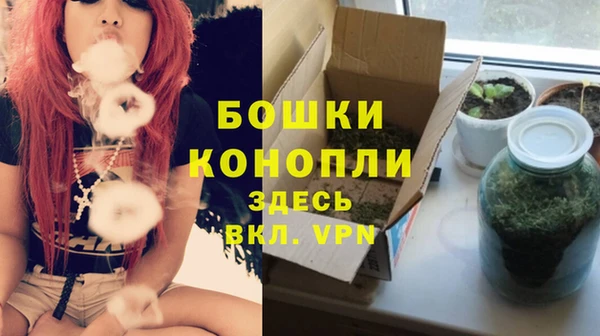 прущие крисы Гусев