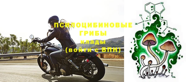 марки lsd Горно-Алтайск